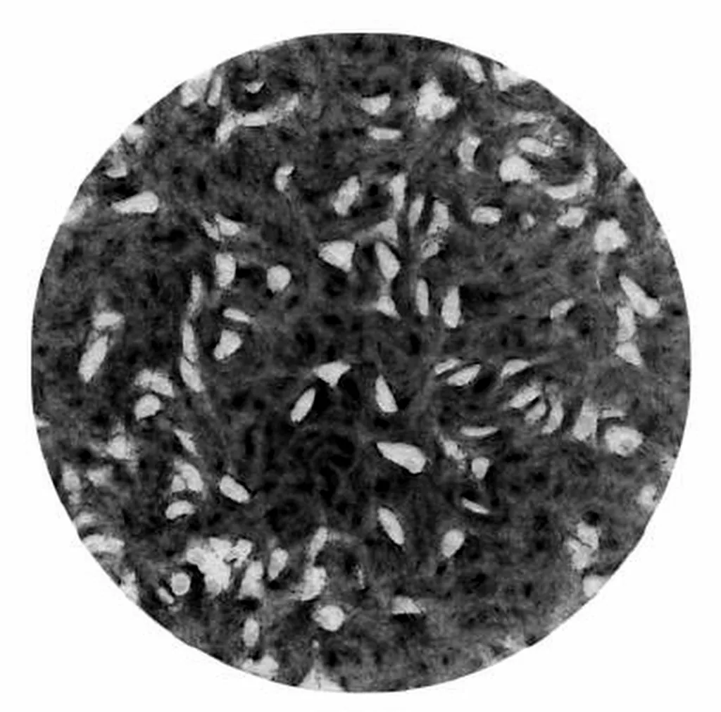 Greyscale image of a crystal-violet stained well with pale plaques in a dark monolayer