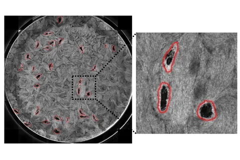 Fig. S3: Analysis of plaque efficiency and size for screen hits