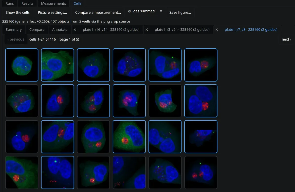 Grid of cell crops from a well that carries EAF1 guides