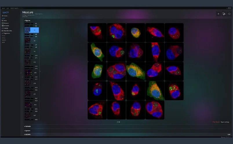 Measure module showing a grid of single-cell crops