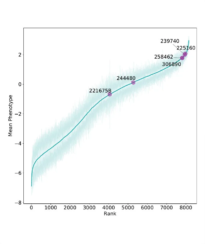Line plot of mean phenotype against gene rank with selected genes labelled