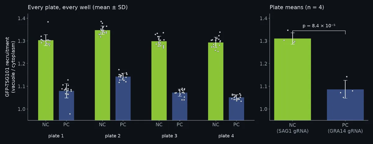 Bar plots of GFP-TSG101 recruitment for negative and positive control wells on four plates
