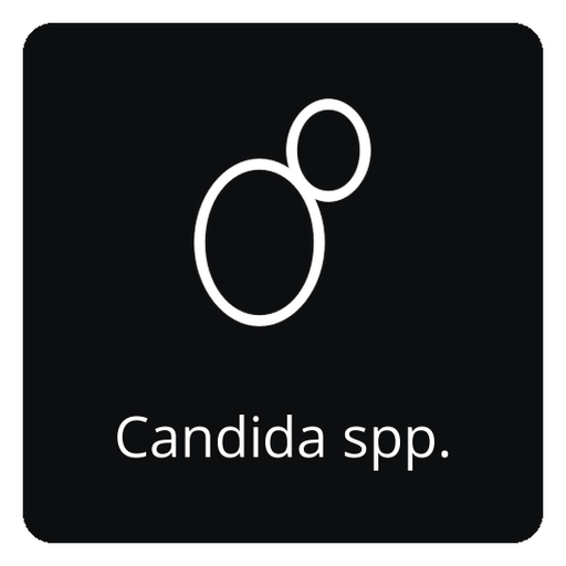 Open the Candida spp. API