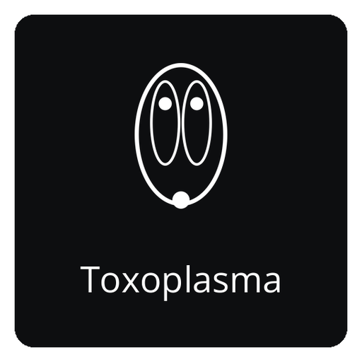 Open the Toxoplasma API